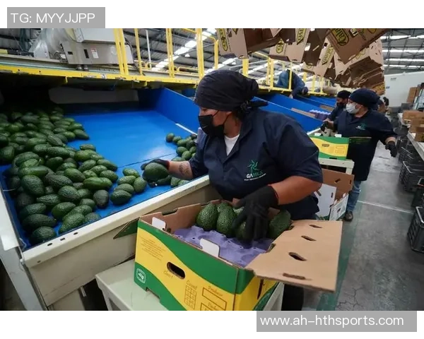 米却肯鳄梨树与富尔萨雷吉亚的生态对比与栽培技术探讨